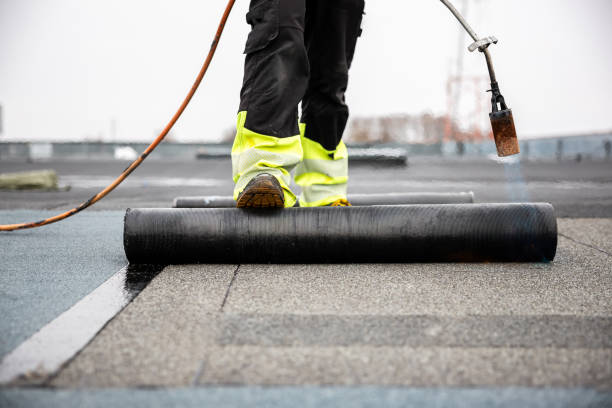 Best Roof Insulation Installation  in Camden, SC